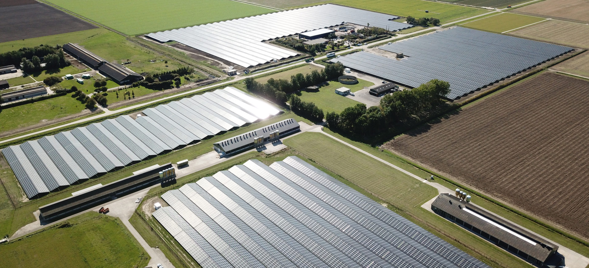 Luftaufnahme des Solarparks in Lelystad, Niederlanden