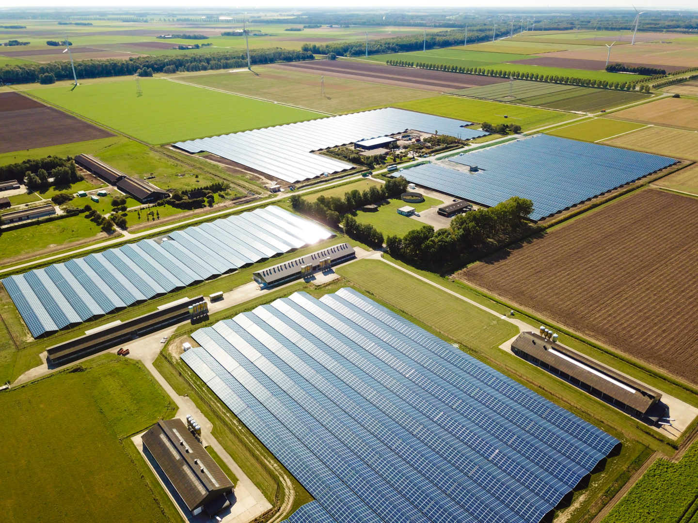 Solarpark Lelystad, Niederlande