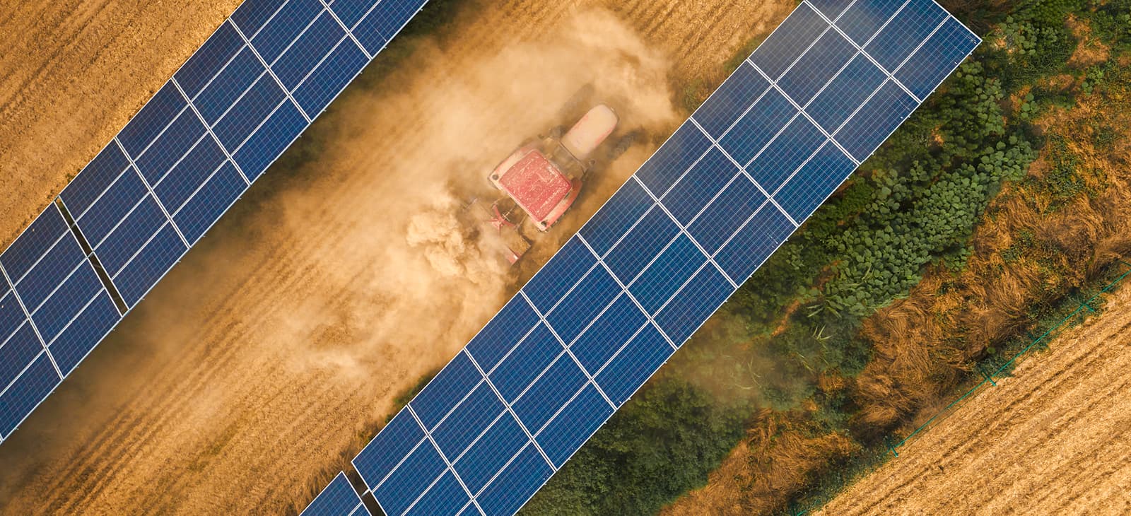 Agri-PV: Ein Traktor zwischen Solarmodulen