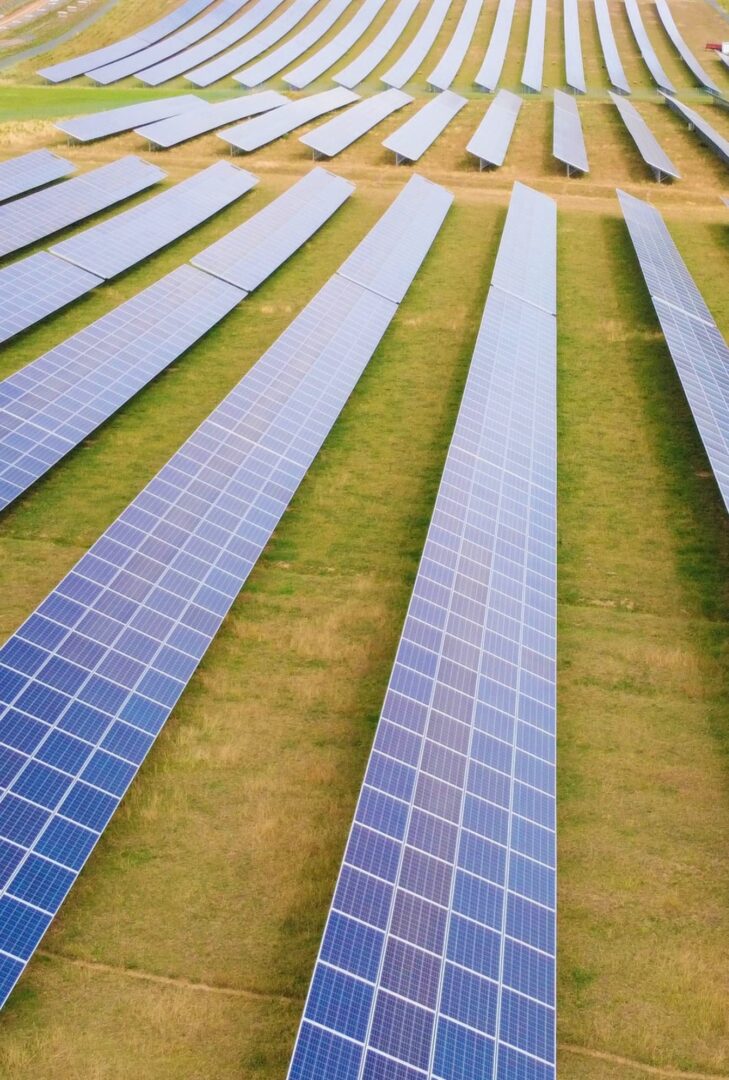 Luftaufnahme einer Reihe von Solarpanales einer Photovoltaikanlage auf einer Wiese.