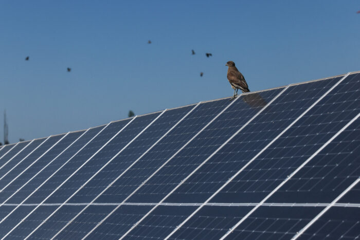 Qualitätsstandard Solamodule: Solarmodule einer Anlage in Chile.