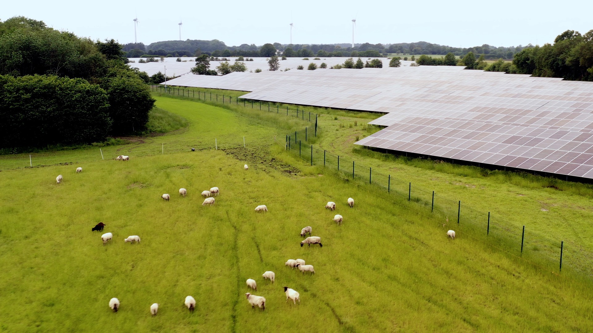 industrielle Solarparks, Luftaufnahme des Solarpark Lärz/Rechlin, Deutschland