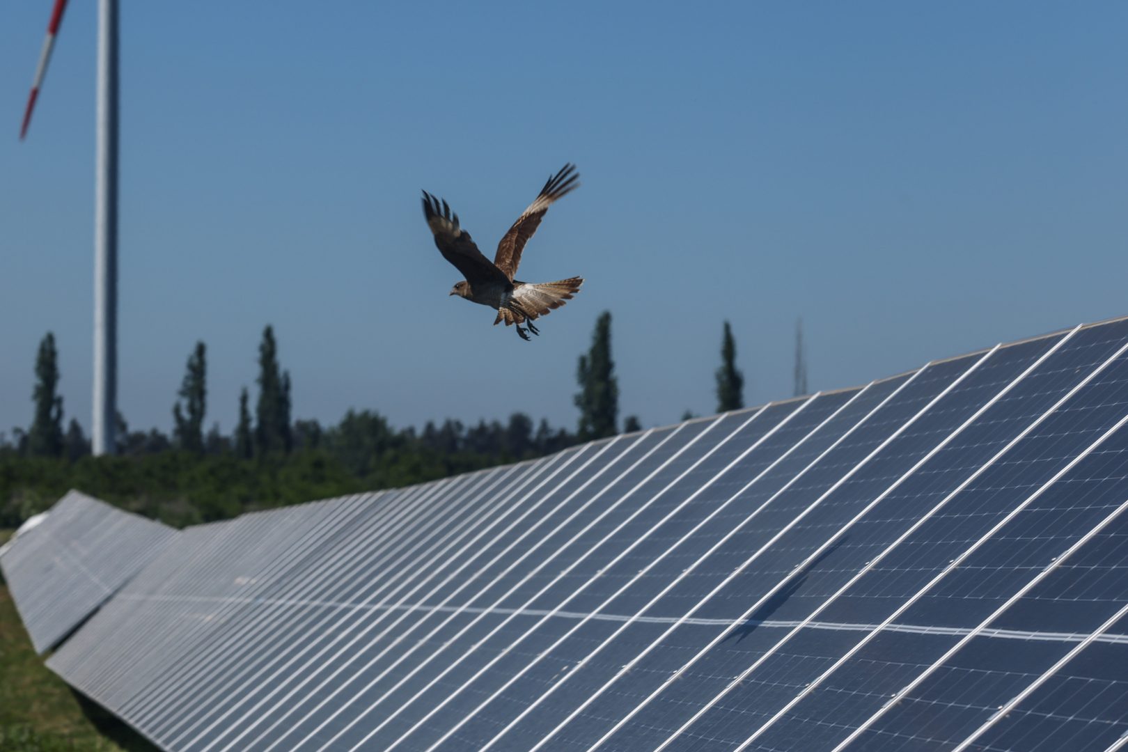 GOLDBECK SOLAR_Solarpark_Chile 2