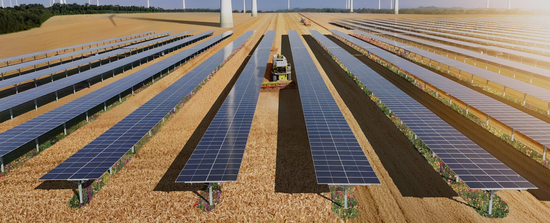Agri-PV