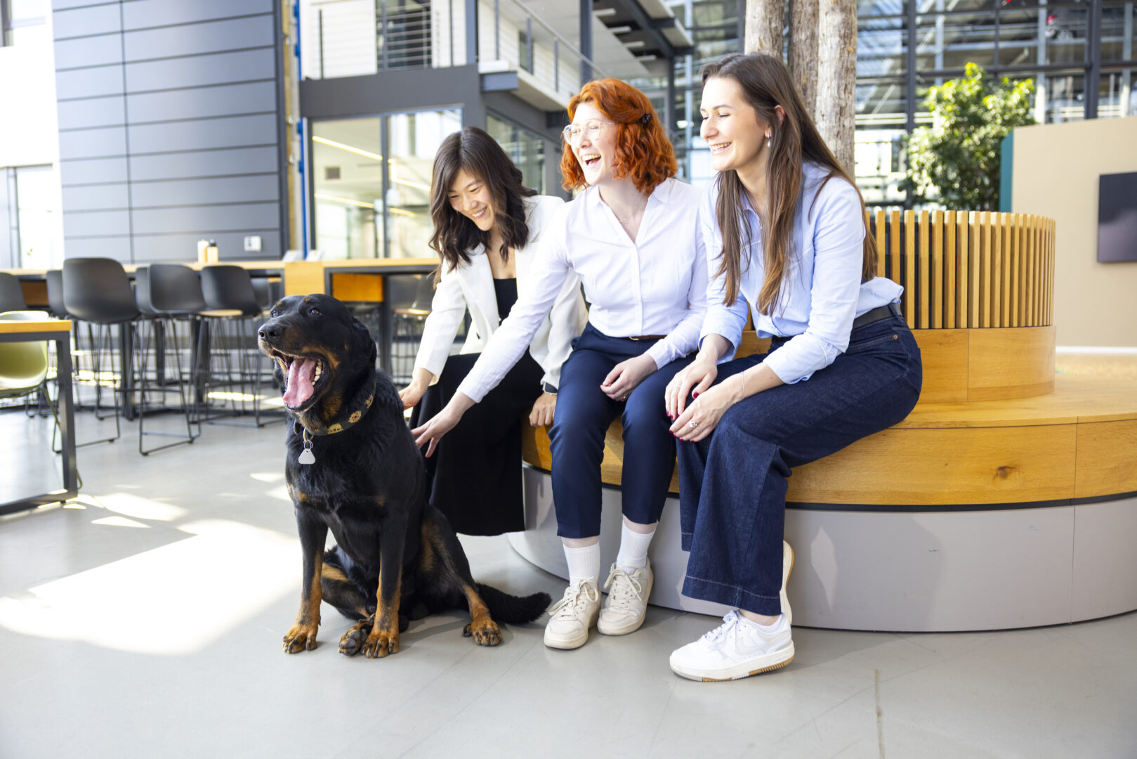 Hund in Kantine